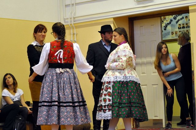 csibetábor az aranyban 46